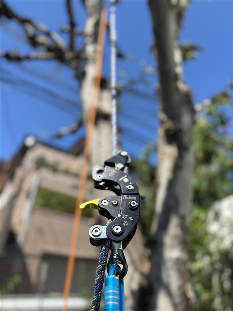 電線近接時の慎重な登はん作業